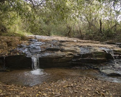 Piscina-Natural.jpg